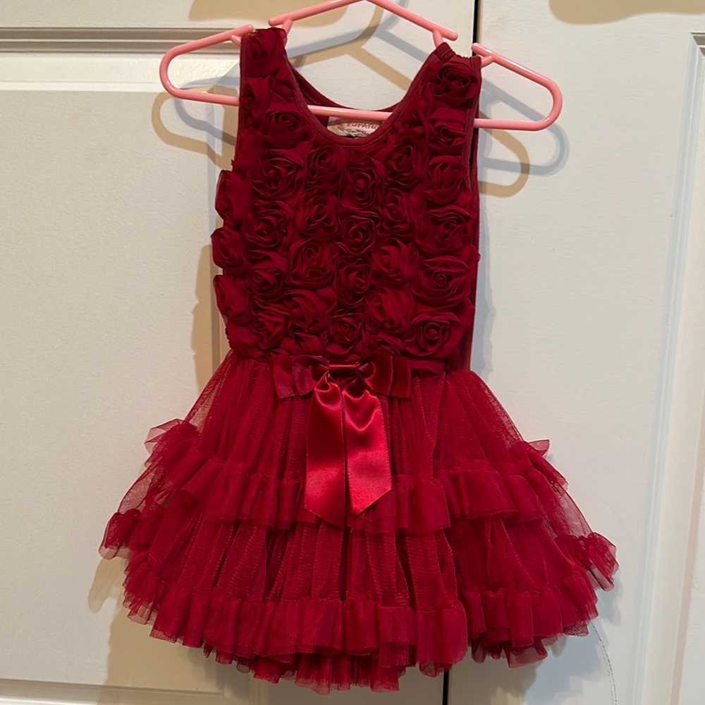 Popatu Red roses dress with multi layer tulle crinoline skirt